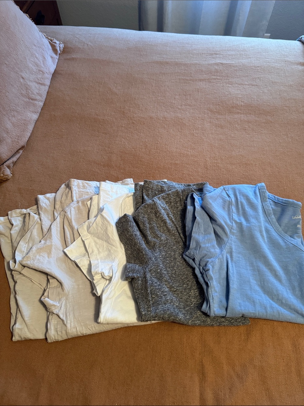 Everyday V-Neck Tees (5)